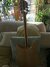 Rickenbacker 330/12 , Mapleglo: Full Instrument - Rear
