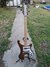Rickenbacker 4003/4 S, Natural Walnut: Full Instrument - Front