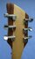 Rickenbacker 650/6 Dakota, Natural Walnut: Headstock - Rear