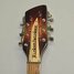 Rickenbacker 660/12 TP, Fireglo: Headstock