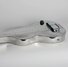 Rickenbacker NS 100/6 LapSteel, Silver: Free image