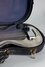 Rickenbacker NS 100/6 LapSteel, Silver: Close up - Free