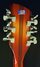 Rickenbacker 360/12 , Fireglo: Headstock - Rear