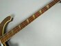 Rickenbacker 4001/4 , WalnutGlo: Neck - Front