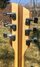 Rickenbacker 330/6 , Natural Walnut: Headstock - Rear