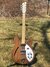 Rickenbacker 330/6 , Natural Walnut: Full Instrument - Front