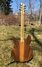 Rickenbacker 330/6 , Natural Walnut: Full Instrument - Rear