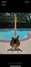 Rickenbacker 650/6 Sierra, Natural Walnut: Full Instrument - Rear