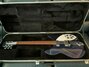 Rickenbacker 330/12 , Midnightblue: Free image2