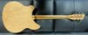 Rickenbacker 360/6 , Mapleglo: Full Instrument - Rear