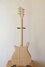 Rickenbacker 620/ , Mapleglo: Full Instrument - Rear
