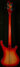 Rickenbacker 4003/4 , Fireglo: Full Instrument - Rear