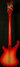 Rickenbacker 4003/4 , Fireglo: Full Instrument - Rear