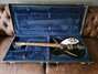 Rickenbacker 360/12 O.S., Jetglo: Free image2