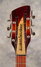 Rickenbacker 660/12 , MonteBrown: Headstock
