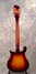 Rickenbacker 660/12 , MonteBrown: Full Instrument - Rear