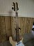 Rickenbacker 4001/4 C64, Mapleglo: Neck - Front