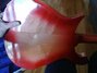 Oct 1965 Rickenbacker 625/6 , Fireglo: Body - Rear