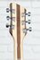 Rickenbacker 360/6 , Mapleglo: Headstock - Rear