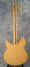 Rickenbacker 330/12 , Natural: Full Instrument - Rear