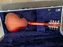 Rickenbacker 5002/8 V58, Fireglo: Full Instrument - Rear