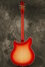 Rickenbacker 360/12 , Fireglo: Full Instrument - Rear