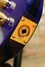 Rickenbacker 4004/4 Cii, Trans Blue: Close up - Free