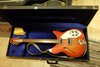 Rickenbacker 330/12 , Fireglo: Free image