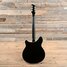 Rickenbacker 360/6 , Jetglo: Full Instrument - Rear