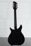 Rickenbacker 325/6 C64, : Full Instrument - Rear