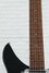 Rickenbacker 325/6 C64, : Neck - Front
