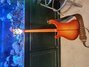 Rickenbacker 4001/4 , Fireglo: Full Instrument - Rear