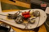 Rickenbacker 4001/4 V63, Mapleglo: Free image