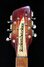 Rickenbacker 660/12 TP, Fireglo: Headstock