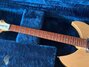 Rickenbacker 330/6 , Mapleglo: Neck - Front
