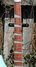 Rickenbacker 381/12 V69, Blue Boy: Neck - Front