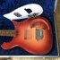 Rickenbacker 420/6 , Fireglo: Free image2