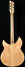 Rickenbacker 330/6 , Mapleglo: Full Instrument - Rear