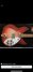 Rickenbacker 330/6 , Fireglo: Body - Front