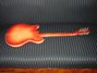 Rickenbacker 360/12 , Fireglo: Full Instrument - Rear