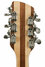 Rickenbacker 360/12 Refin, Mapleglo: Headstock - Rear