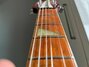 Rickenbacker 620/6 , Fireglo: Neck - Front