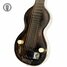 Rickenbacker NS 100/6 LapSteel, Silver: Body - Front