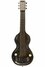 Rickenbacker NS 100/6 LapSteel, Silver: Full Instrument - Front