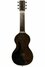 Rickenbacker NS 100/6 LapSteel, Silver: Full Instrument - Rear