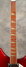 Rickenbacker 360/12 VP, Burgundy: Neck - Front