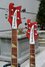 Rickenbacker 4080/46 Doubleneck, Burgundy: Free image