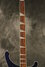 Rickenbacker 4003/4 , Midnightblue: Neck - Front