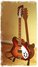 Rickenbacker 360/6 , Fireglo: Body - Front