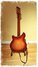 Rickenbacker 360/6 , Fireglo: Full Instrument - Rear